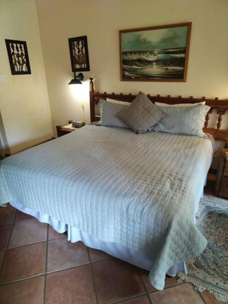 Buona Notte Bed & Breakfast Johannesburg Exterior foto
